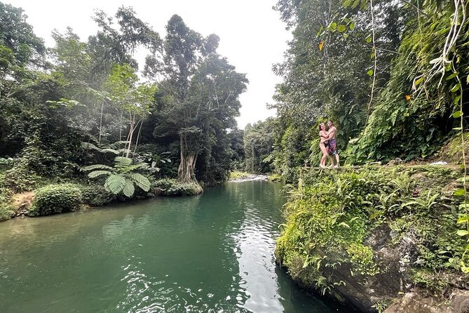Half-Day Rainforest Tour with Transport from San Juan - Key highlights worth knowing