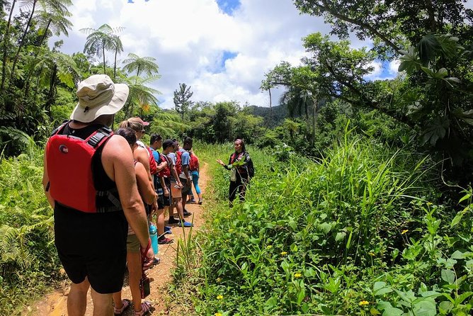 Half-Day Tour: El Yunque Rainforest and Waterslide Adventure - Key points before you go