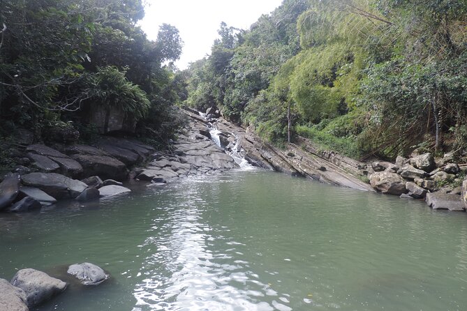Half-Day Tour: El Yunque, Waterslides, and Luquillo Beach - Las Pailas in El Yunque: Short Trail, Real River Play