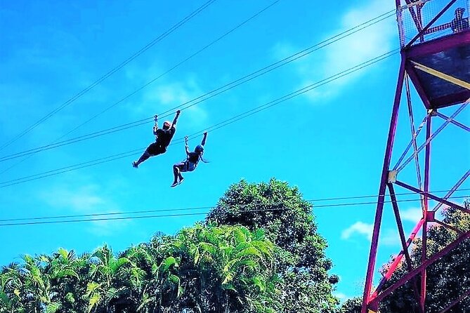 Half Day Tour in Rainforest Zipline Park with Transportation - Key things to know before you book