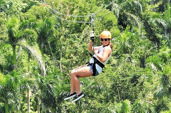 Half Day Tour in Rainforest Zipline Park with Transportation - The 8 Zip Lines: The Training-to-Scenery Pattern