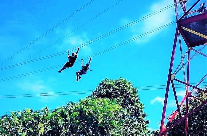Half Day Tour in Rainforest Zipline Park with Transportation - Views From Above: Why the Rainforest Flight Is the Whole Point
