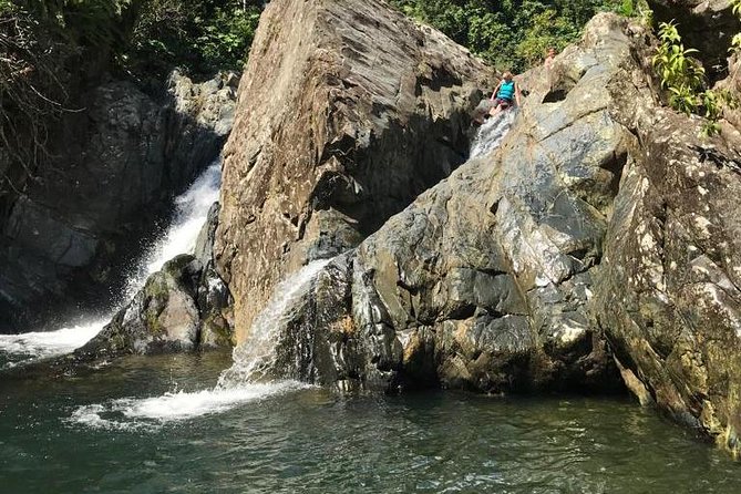 Half-Day Yunque Rainforest Waterslide & rope swing Guided Tour - Fajardo Meeting Point and the No-Uber Ride Into El Yunque