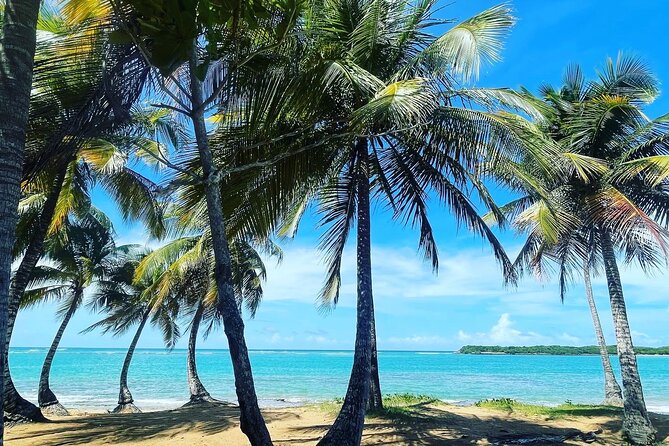 Hidden Fresh Spring of Water+ Cave+ Beach & Food Full Day Tour - Key highlights you will actually care about