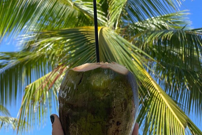 Hidden Fresh Spring of Water+ Cave+ Beach & Food Full Day Tour - San Juan logistics that keep the day from feeling rushed