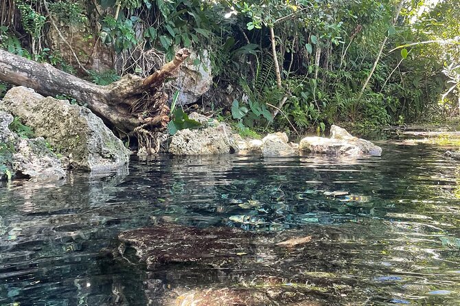 Hidden Fresh Spring of Water+ Cave+ Beach & Food Full Day Tour - Cave time: wet air, wildlife mentions, and comfortable expectations