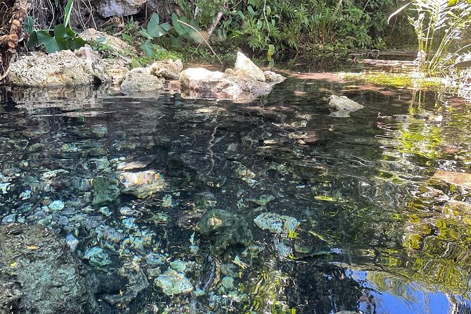 Hidden Fresh Spring of Water+ Cave+ Beach & Food Full Day Tour - Price and value: what $125 buys you (and what it does not)