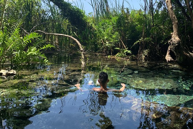 Hidden Gems of the North, Puerto Rico Private Tour - Key Highlights You Should Care About