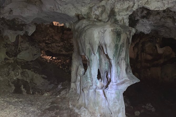 Hidden Gems of the North, Puerto Rico Private Tour - Manatí North Coast: Why This Works As a Half-Day