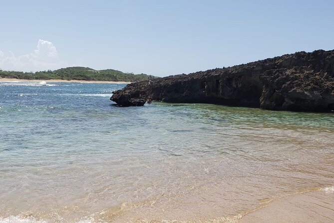 Hidden Gems of the North, Puerto Rico Private Tour - Lunch Plans: Snack Options and Staying Flexible