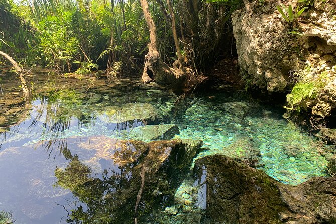 Hidden Gems of the North, Puerto Rico Private Tour - What You Really Get for $199 Per Person