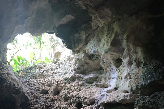 Hidden Gems of the North, Puerto Rico Private Tour - Getting There From San Juan, Meeting Point, and Timing