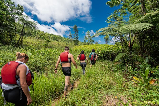 Hike El Yunque Rainforest and Kayak Bio Bay Combo Tour - Key Things I’d Plan Around Before You Go