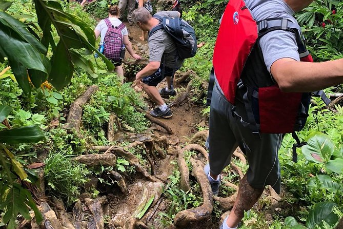 Hike El Yunque Rainforest and Kayak Bio Bay Combo Tour - Lunch Break: When It Matters