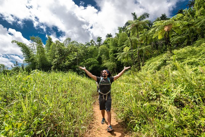 Hike El Yunque Rainforest and Kayak Bio Bay Combo Tour - Mangroves, Mosquitoes, And Gear You Should Not Skip