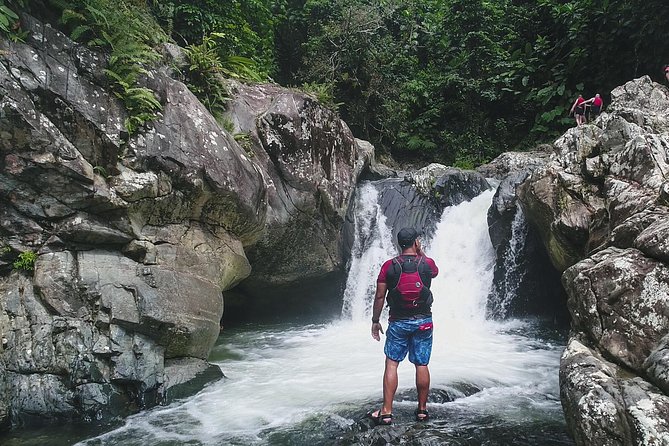 Hike El Yunque Rainforest and Kayak Bio Bay Combo Tour - How The Day Flows: A Practical Timeline You Can Trust