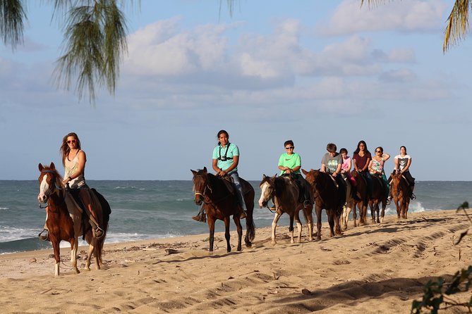 Horseback Riding through Secluded Beaches and Tropical Forests - Key things I’d pay attention to