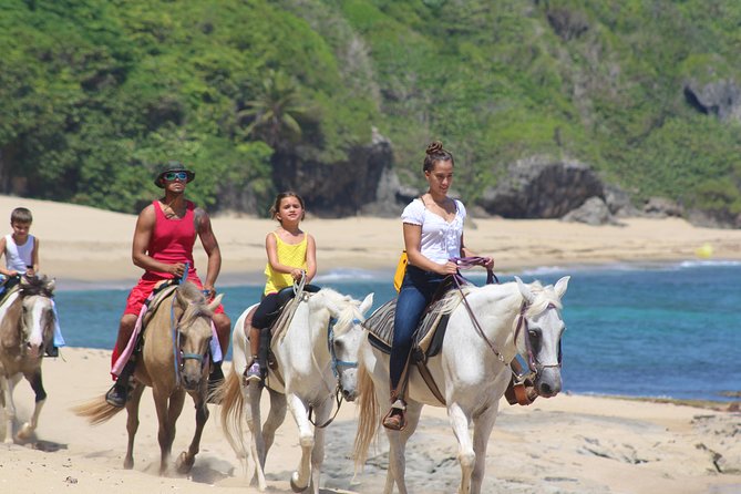 Horseback Riding through Secluded Beaches and Tropical Forests - Forest trail sights and gentle, Paso Fino horses