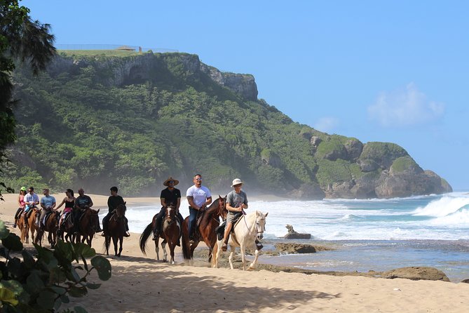 Horseback Riding through Secluded Beaches and Tropical Forests - Safety basics, pace control, and guide coaching