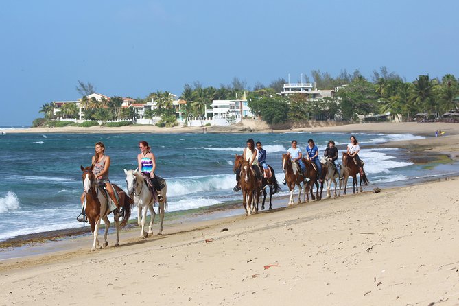 Horseback Riding through Secluded Beaches and Tropical Forests - What to pack for a comfy saddle day