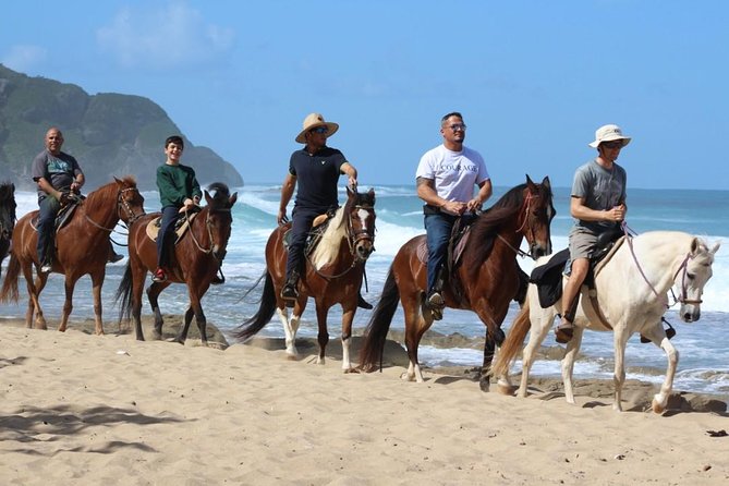 Horseback Riding through Secluded Beaches and Tropical Forests - Price and value: what $106.95 buys you