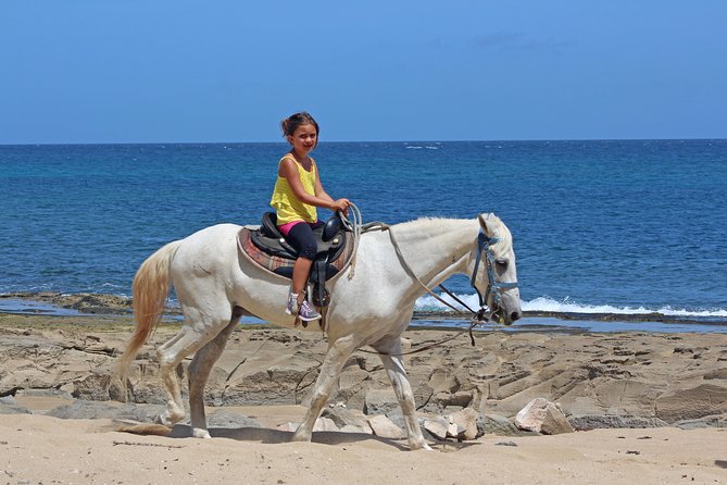 Horseback Riding through Secluded Beaches and Tropical Forests - Should you book this horseback tour in Isabela near Rincón?