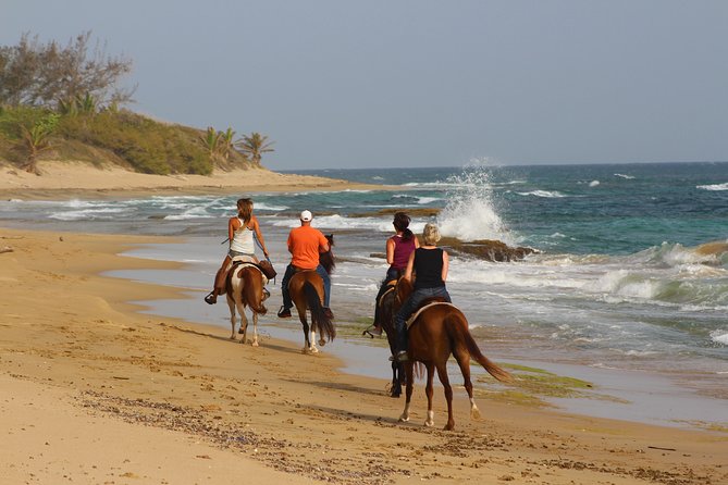 Horseback Riding through Secluded Beaches and Tropical Forests - Shacks Beach and Survival Beach, what you can do there