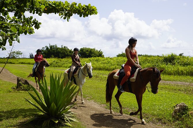 Horseback Riding Tour at Private Ranch - Key things to know before you ride