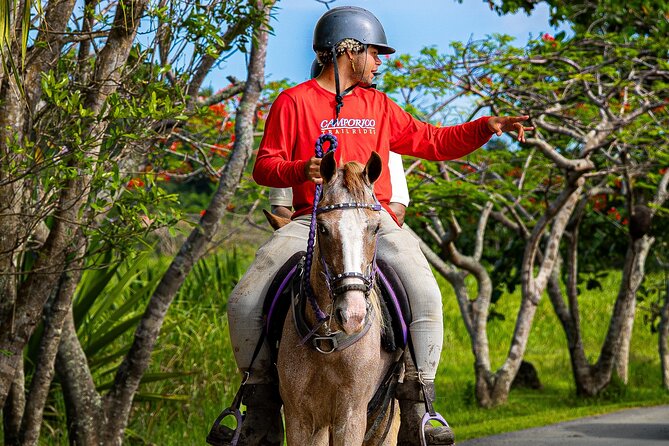 Horseback Riding Tour at Private Ranch - Paso Fino Trails at Hacienda Campo Rico: what the 2-hour ride is really like