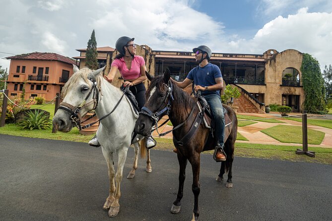 Horseback Riding Tour at Private Ranch - What you learn: wildlife, flora, and the Paso Fino story