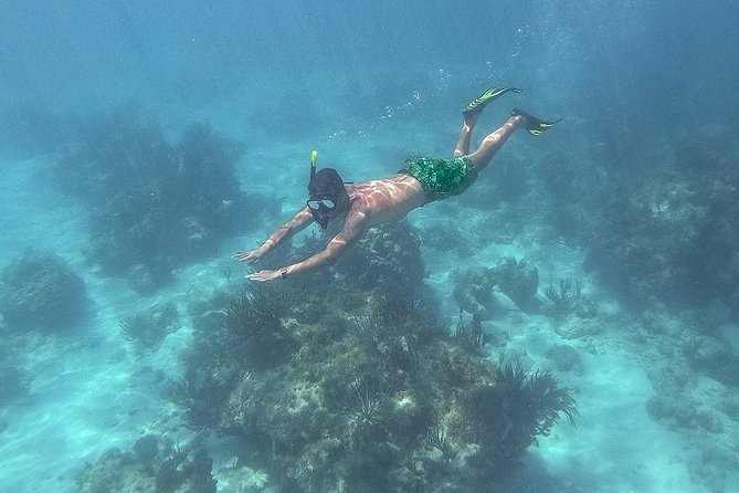 Icacos Deserted Island Catamaran, Snorkel, and Picnic Cruise - Should You Book the Icacos Deserted Island Catamaran Cruise?