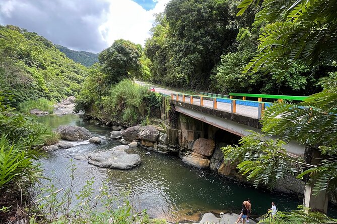 Incredible Hike & Cliff Jumping in the Heart of Puerto Rico - Río Toro Negro: cliff jumping option, or just an ice-cold reset