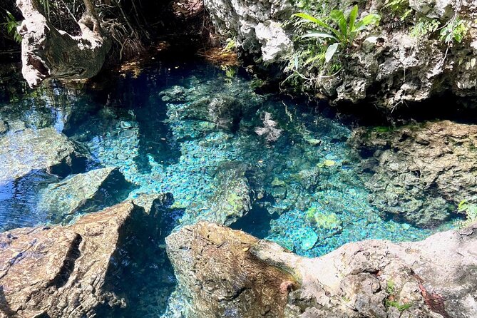 Indian Cave & Water Spring Adventure - La Boca black sand start: where the river meets the sea