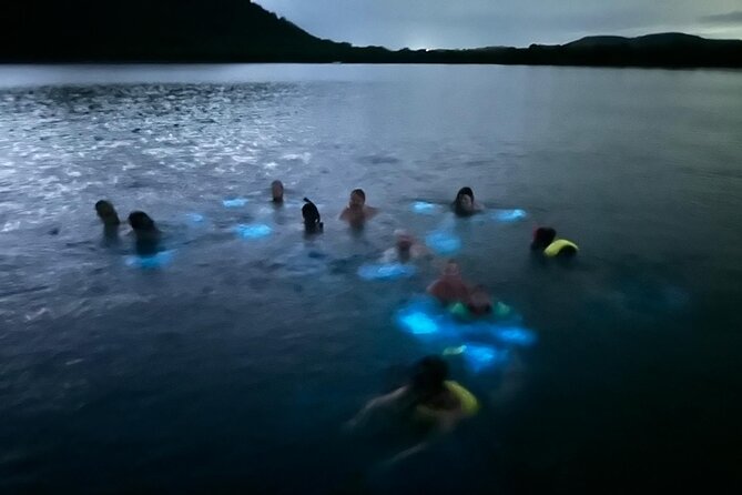 La Parguera Bio Bay Boat Ride and Swimming w/ San Juan Transport - The Boat Ride To The Glow Spot (And Why It Matters)