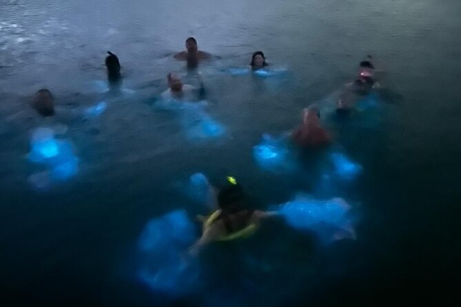 La Parguera Bio Bay Boat Ride and Swimming w/ San Juan Transport - What You Can Expect To See in La Parguera’s Biobay