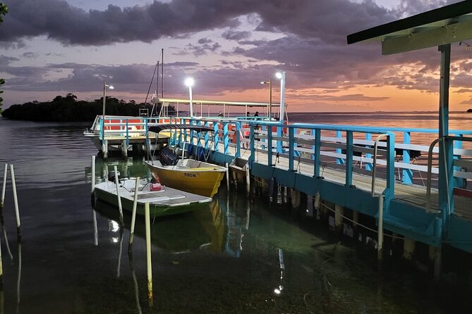 La Parguera Bio Bay Boat Ride and Swimming w/ San Juan Transport - Money and Value: Is $54.99 Worth It?