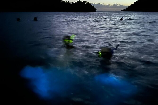 La Parguera Bio Bay Boat Ride and Swimming w/ San Juan Transport - What to Bring for a Smooth, Comfortable Night