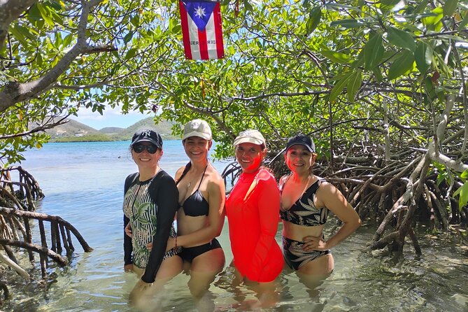 La Parguera Boat Charter with Captain: Kayak & Snorkel - Snorkeling at Cayo Caracoles: clear visibility and fish-filled moments