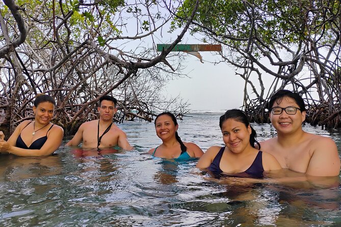 La Parguera Boat Charter with Captain: Kayak & Snorkel - Who this trip fits best, and who should think twice
