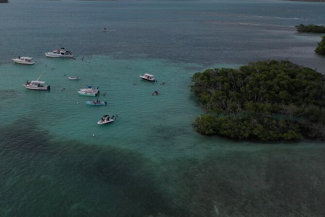 La Parguera Glowing Bioluminescent Bay Boat Tour from San Juan - Pickup, max 14 people, and what you are truly paying for