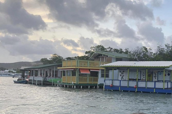 La Parguera Glowing Bioluminescent Bay Boat Tour from San Juan - Comfort on the water: snacks, beer, and the pacing