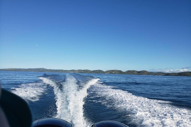 La Parguera Private Boat Charter - What the Captain Changes Based on Your Day
