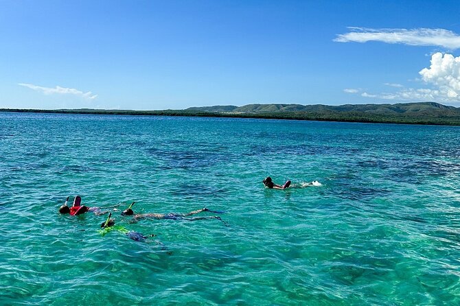 La Parguera Private Boat Charter - Mangrove Bays, Channels, and Birding Time