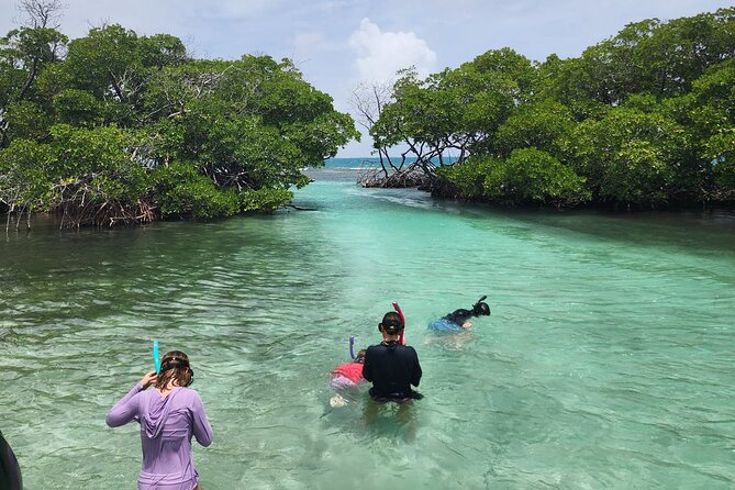 La Parguera Private Boat Charter - When the Day Gets Special: Quiet Cays Away From the Loud Party Boats