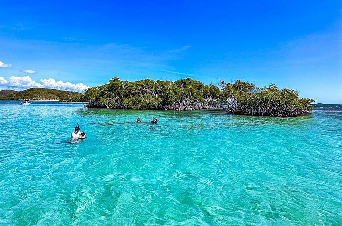 La Parguera Private Boat Charter - Snorkeling and Swimming: How to Make the Most of Each Stop
