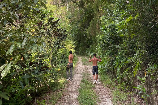 Largest Natural Waterslide, River Hike and Beach Tour in Arecibo - Rio La Planta First: Why This Feels Like Puerto Rico, Not a Theme Park