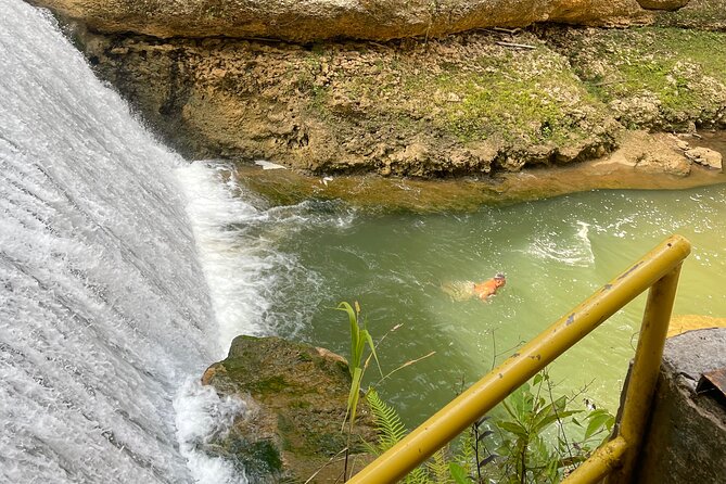 Largest Natural Waterslide, River Hike and Beach Tour in Arecibo - Should You Book This Tanama River and Playa Mar Chiquita Tour?