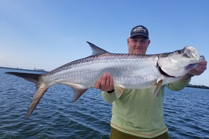 Light Tackle Tarpon & Snook Fishing Charter - Chances of Seeing Other Fish (Snook and Jacks)