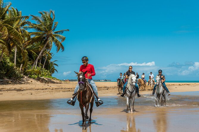 Luquillo Beach Horse Ride from Carabalí Rainforest Adventure Park - Key highlights worth showing up for