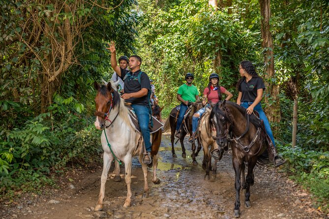 Luquillo Beach Horse Ride from Carabalí Rainforest Adventure Park - A rainforest-to-beach day that stays fun, not stressful